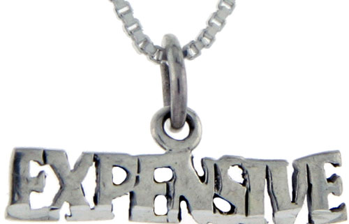Sterling Silver Expensive Word Pendant, 1 inch wide 