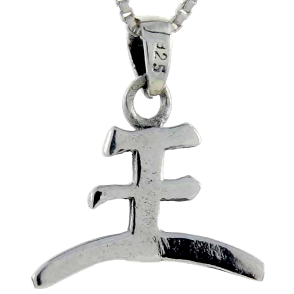 Sterling Silver Chinese Character for WANG Family Name Charm, 7/8 inch tall