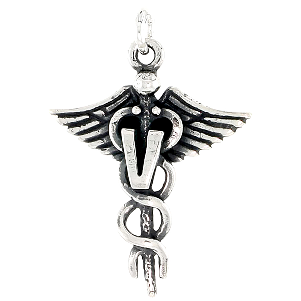 Sterling Silver Veterinary Caduceus (Medical Symbol) Charm, 1 inch tall